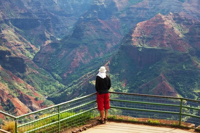 Kauai Waimea Canyon & Na Pali Self-Guided Driving Tour - Image 6