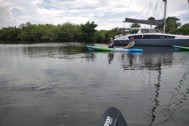 Merritt Island Kayak Rental with Manatee & Dolphin Sightings 1 hr - Image 3