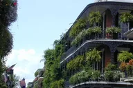 New Orleans City & Cemetery Tour by Minibus thumbnail 3