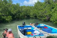 Key West Walking and Glass Bottom Boat Tour thumbnail 6