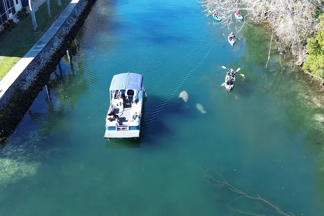 Kings Bay Eco Tour - Image 5