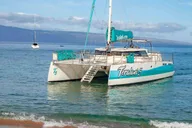 Maui Whale Watching Boat Tour with Open Bar thumbnail 5