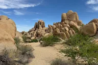 Joshua Tree National Park Private Day Tour thumbnail 3