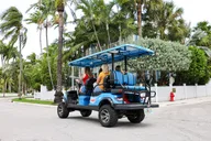 Key West Golf Cart Rental One-Day Exploration thumbnail 1