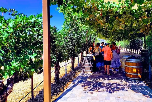 Los Angeles Temecula Wine Tour - Image 5