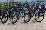 Miami Beach Bike Rental thumbnail 2
