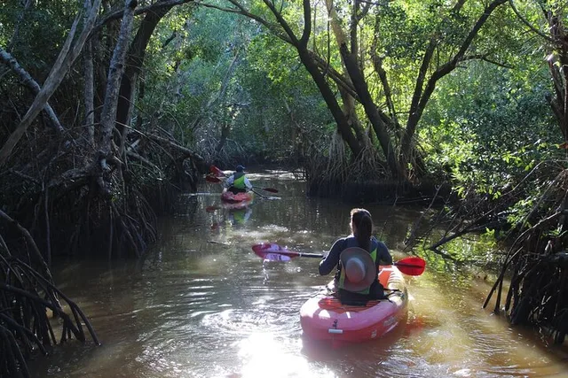 Everglades Kayak and Canoe Adventure - Image 3