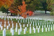 Arlington Cemetery Heroes and History Tour thumbnail 2