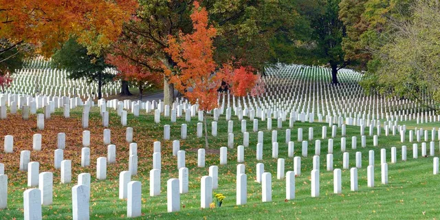 Arlington Cemetery Heroes and History Tour - Image 2