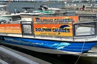 Clearwater Beach Dolphin-Watching Sunset Cruise 1.5 hr thumbnail 2
