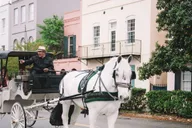Charleston Private Horse-Drawn Carriage Tour thumbnail 6