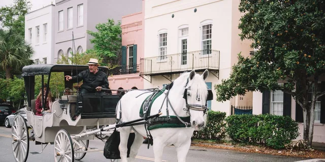 Charleston Private Horse-Drawn Carriage Tour - Image 6