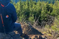 Seattle Hiking Tour in Washington thumbnail 1