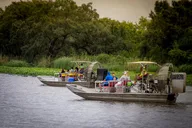Louisiana Private Swamp Experience thumbnail 3