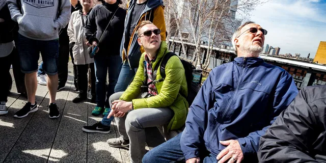 New York City High Line and Chelsea Walking Tour - Image 6