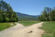 Smoky Mountains Jeep Rental Adventure thumbnail 6