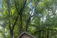Hilton Head Daufuskie Island History and Artisans Tour 4.5 hr thumbnail 4