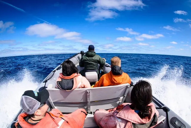 San Diego Whale and Dolphin Watching Experience - Image 5