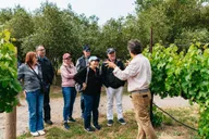 San Francisco Sonoma Wine Country Tour with Tastings thumbnail 1