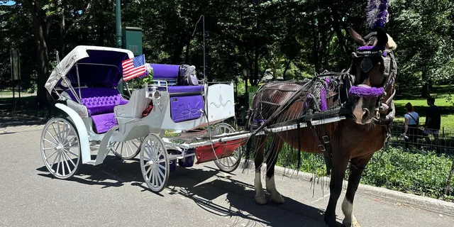 New York City Central Park Horse Carriage Tour - Image 2