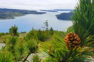 Bar Harbor Acadia National Park Private Tour 3 hr thumbnail 6