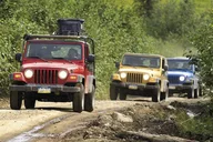 Ketchikan Jeep and Canoe Safari thumbnail 1