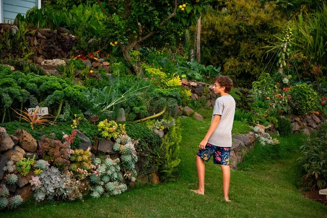 Kula Farm Tour in Maui - Image 2