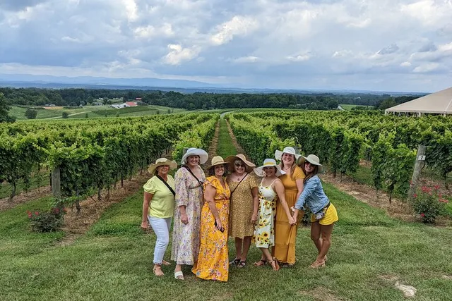 Yadkin Valley Vineyard Tour - Image 6