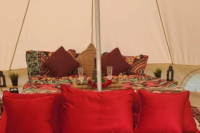 Hollywood Picnic Experience - Image 5
