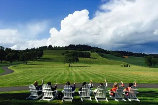 Portland Willamette Valley Wine Tour 7.5 hr