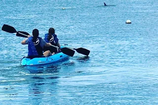 Tampa Stand Up Paddle Board Rental