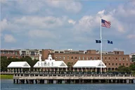 Charleston Horse & Carriage Ride and Harbor Cruise thumbnail 4