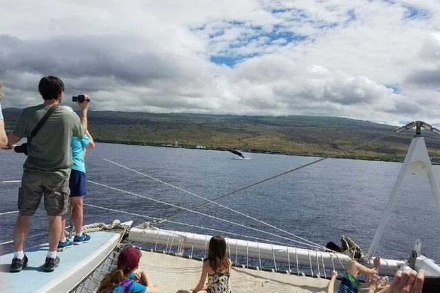 Waikoloa Whale Watching Cruise 90 Min - Image 2