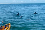 Naples Marco Island Mangroves Kayak Tour thumbnail 1