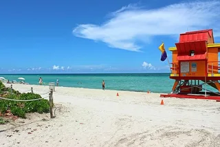 Miami City Tour from Airport with Private Driver