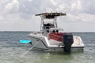 Clearwater Private Boat Tour and Island Hopping thumbnail 5