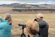 Yellowstone Private Lower Loop Tour with Lunch thumbnail 4