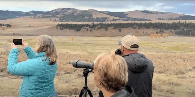 Yellowstone Private Lower Loop Tour with Lunch - Image 4
