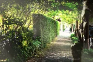New Orleans Garden District Tour thumbnail 2