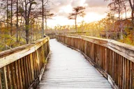 Everglades Immersion Tour thumbnail 1