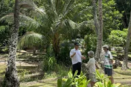 Maui Historical Island Tour thumbnail 2