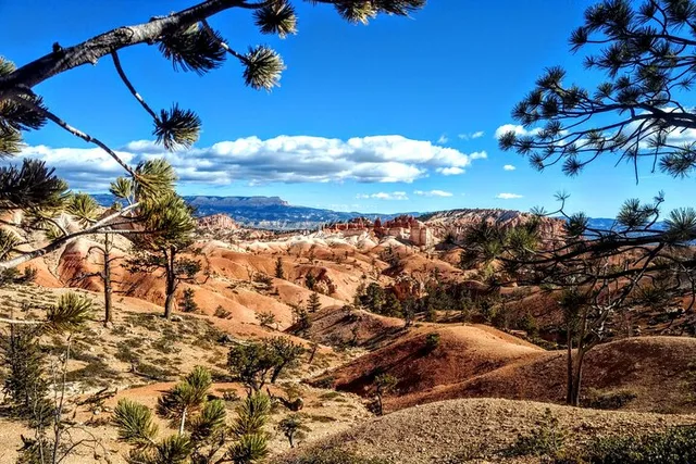 Bryce Canyon Scenic Tour - Image 1