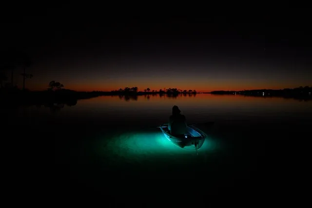 Destin Ft. Walton Beach Clear Kayak Glow Tour - Image 6