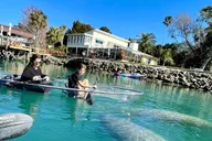 Crystal River Clear Kayak Manatee and Springs Tour thumbnail 5