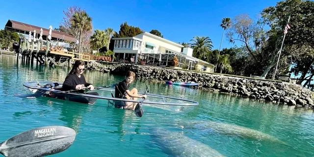 Crystal River Clear Kayak Manatee and Springs Tour - Image 5