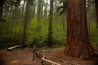 Yosemite Private Tour and Hike 2 Days thumbnail 5