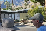 Palm Springs Walking Tour Twin Palms Private 2 hr thumbnail 2