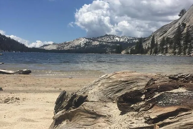 Yosemite High Country Adaptive Tour - Image 3