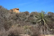 Los Angeles Runyon Canyon Hiking Tour thumbnail 3