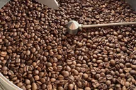 Portland Coffee Roasters Walking Tour thumbnail 5